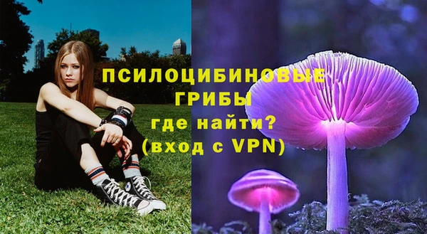 СК Лиски